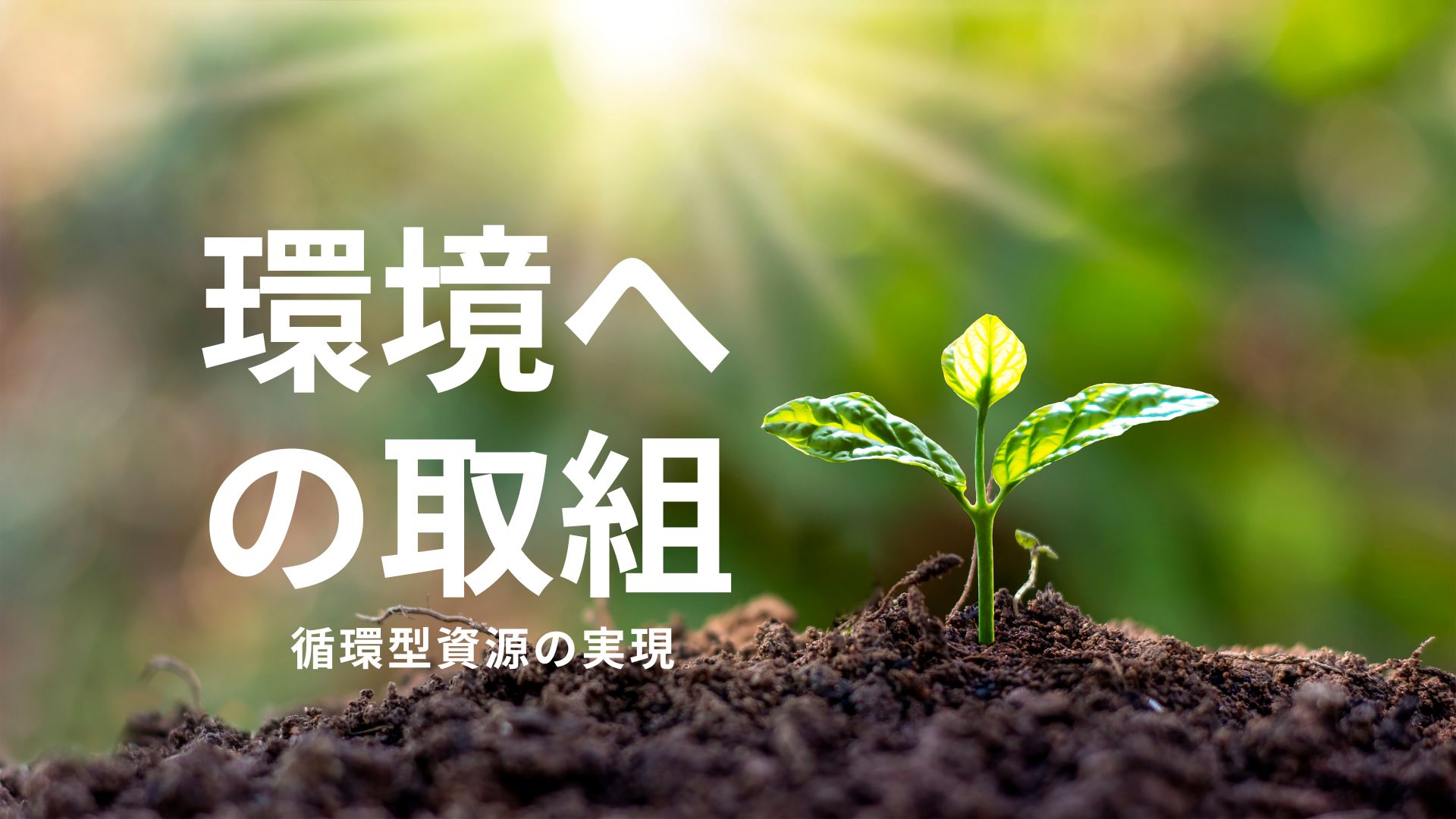環境への取組について